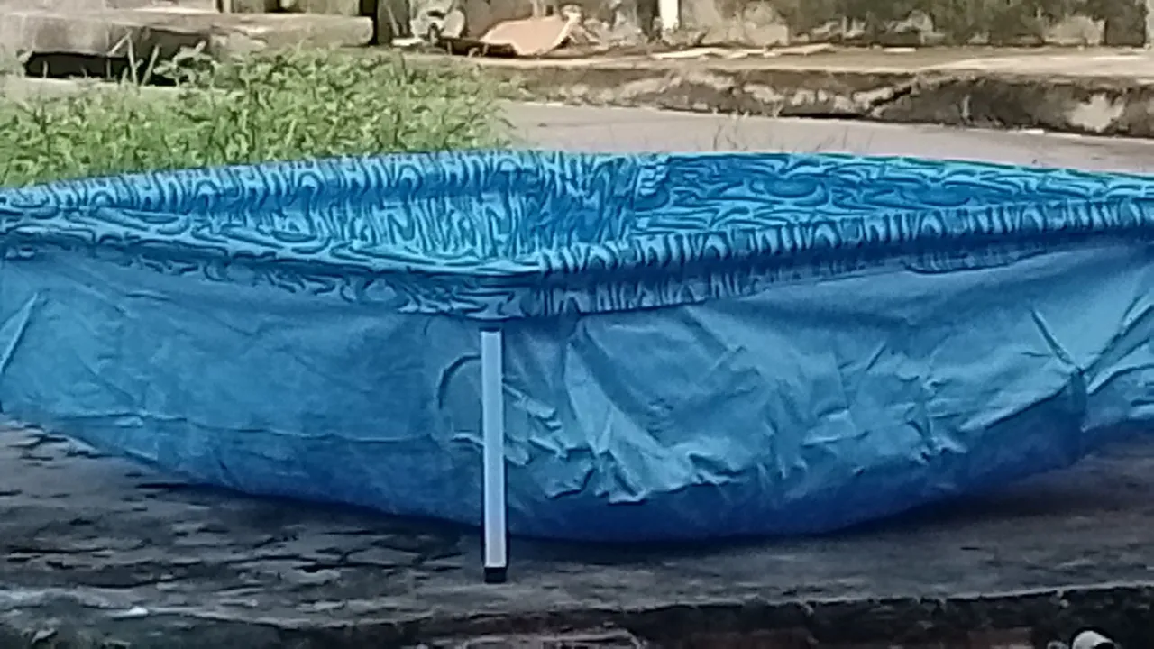 Capa ppiscina de criança rotetora para piscina