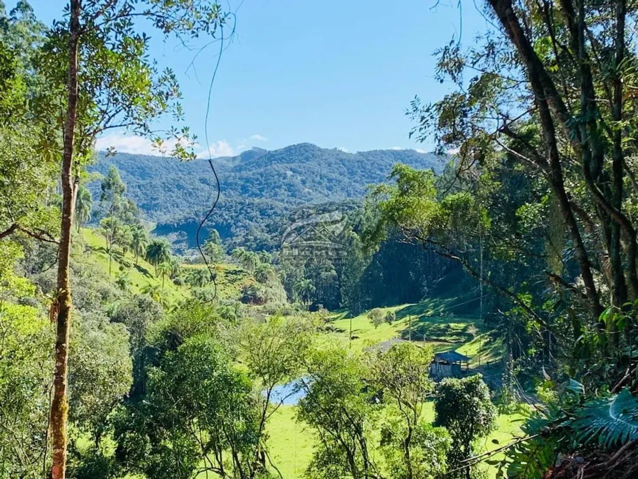 Terreno Rural para Venda em Angelina, ALTO GARCIA. - Foto 2