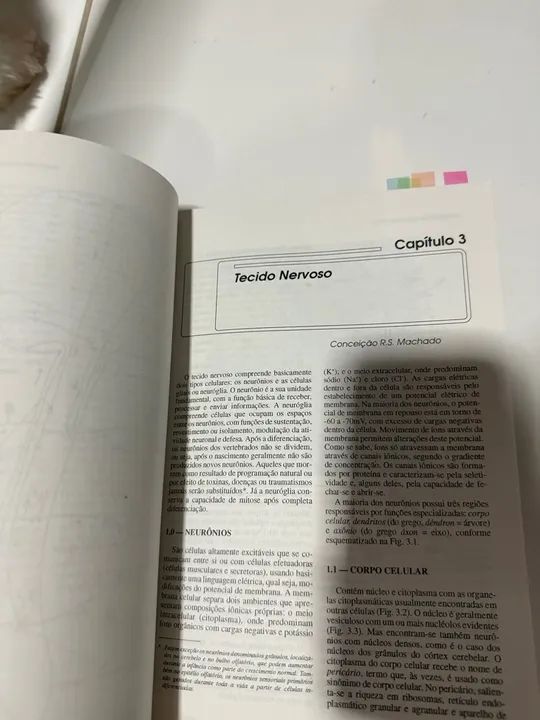 Neuroanatomia Funcional 2ª Edição - Angelo Machado - Foto 2