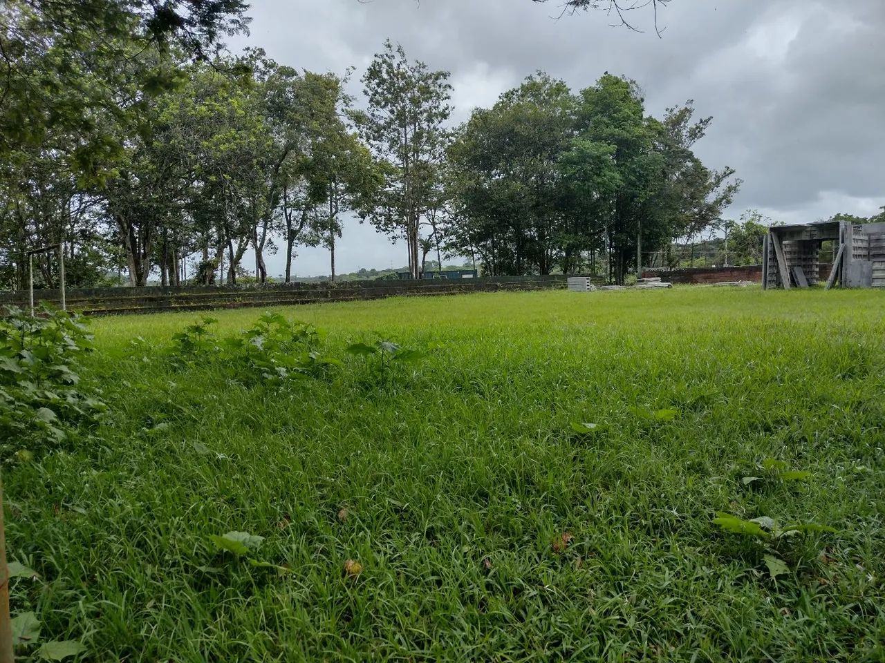 vende-se belíssima propriedade em aldeia!!!! também alugamos, podemos também alugar!. - Foto 6