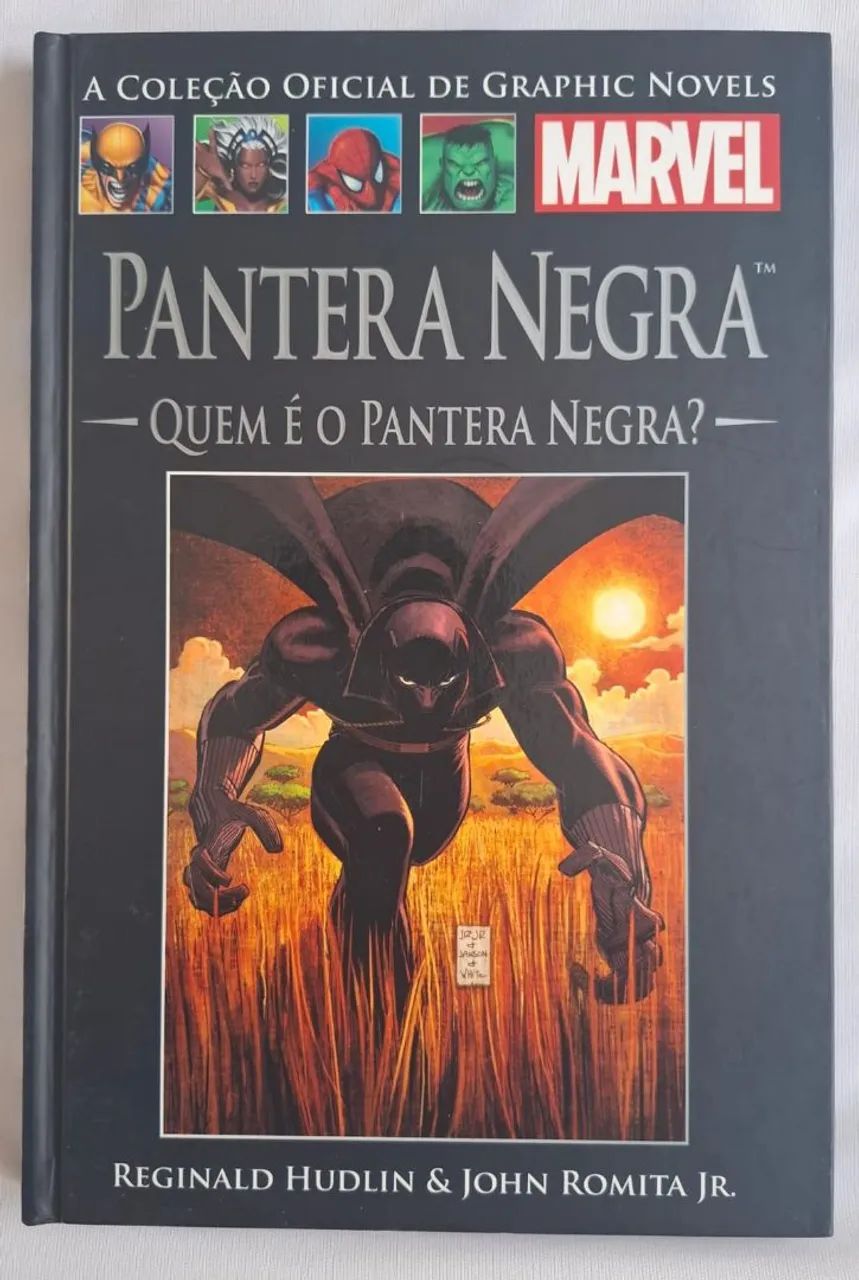 ? HQ Marvel - Pantera Negra: Quem é o Pantera Negra? ?