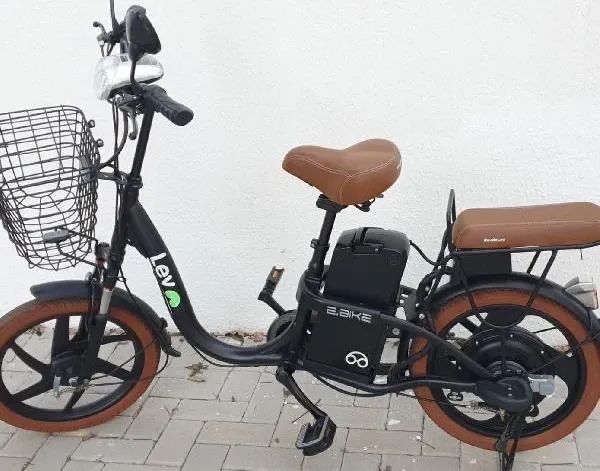 Lev E-Bike - 10 meses de uso 