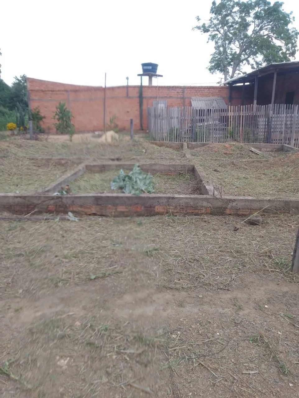 Terreno  - Foto 2