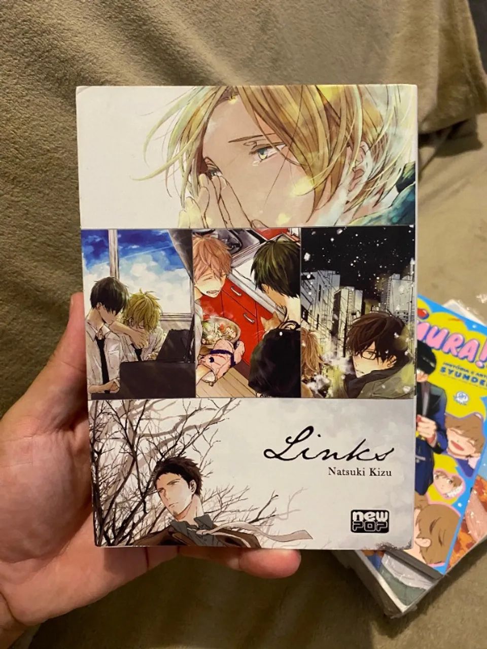Mangás BL (Boys Love) - Panini / New Pop - Livros e revistas