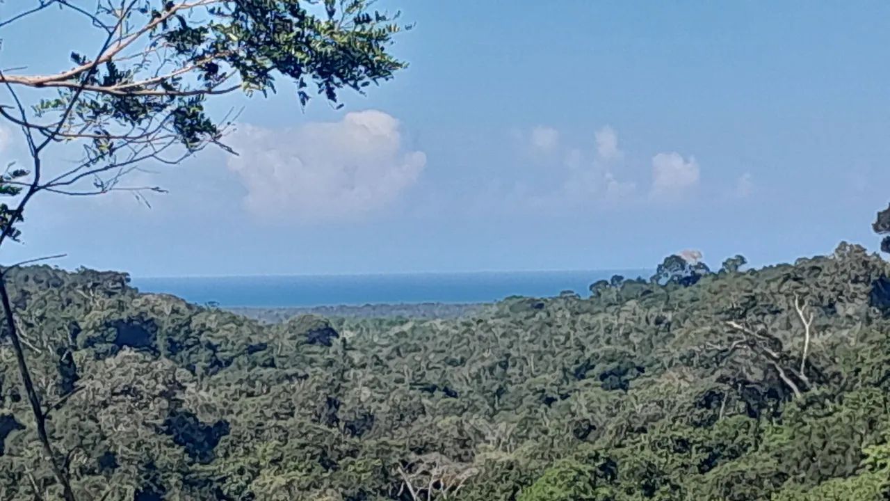Sítio Itacaré Bahia - Foto 4