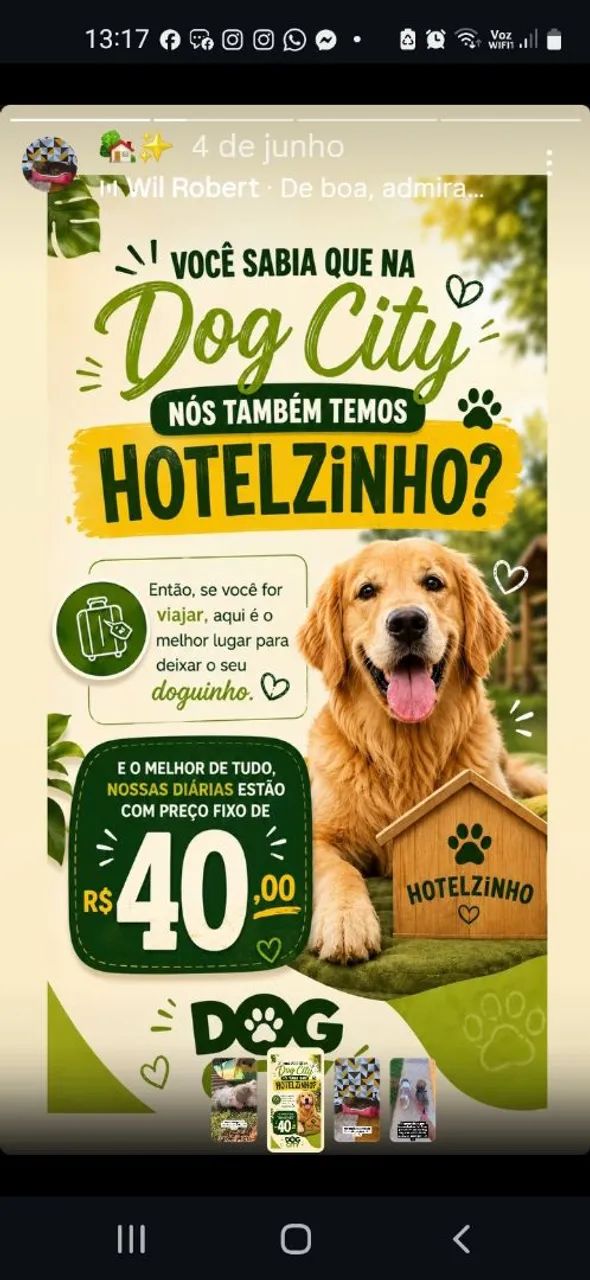 Creche e hotel pra seu pets 