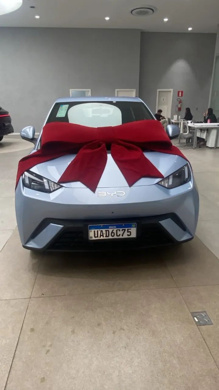 BYD Dolphin GS (Elétrico) 2027 - Foto 2