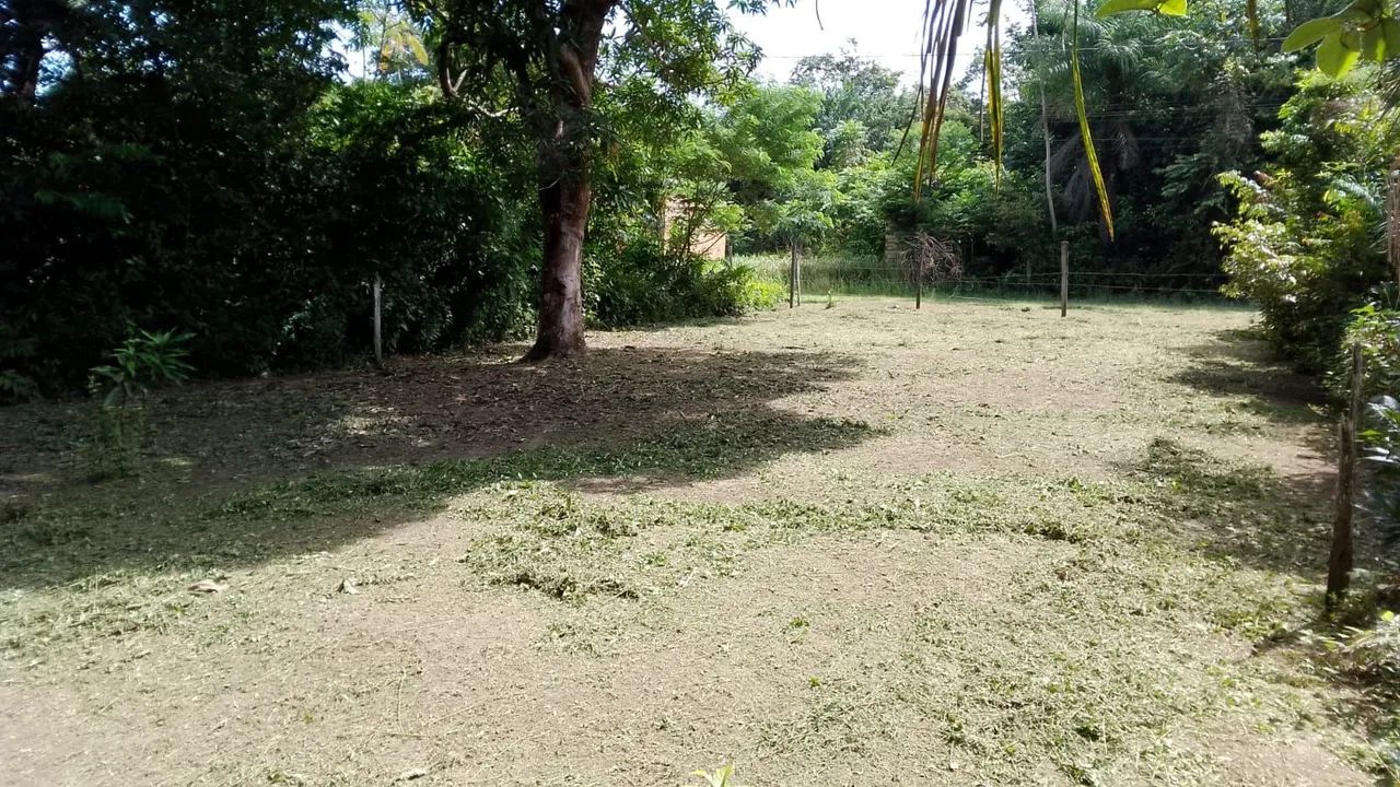 Venda de Terreno - Ilha de Cotijuba - Foto 3