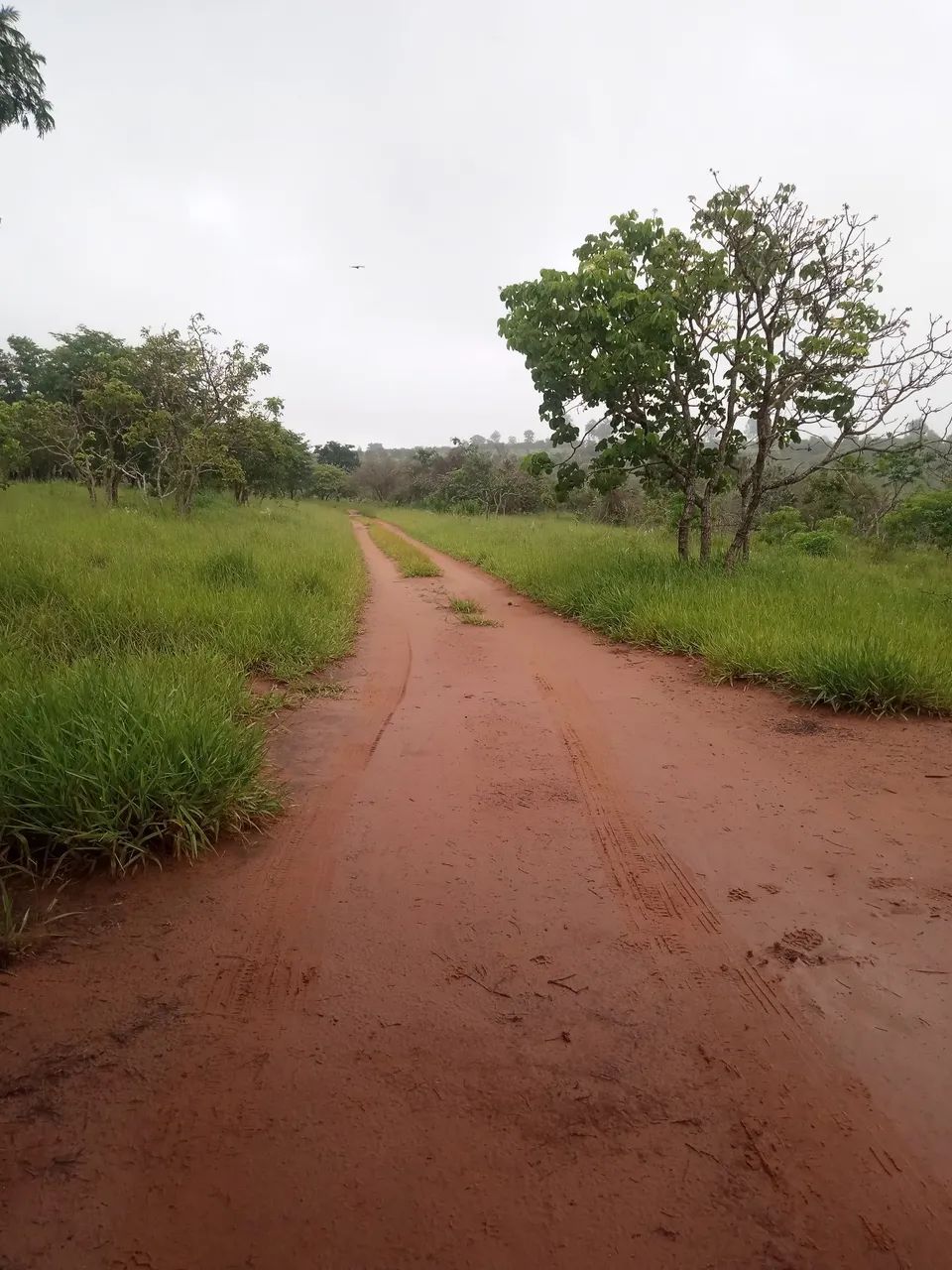 Foto - Piratininga - Área Rural de Piratininga