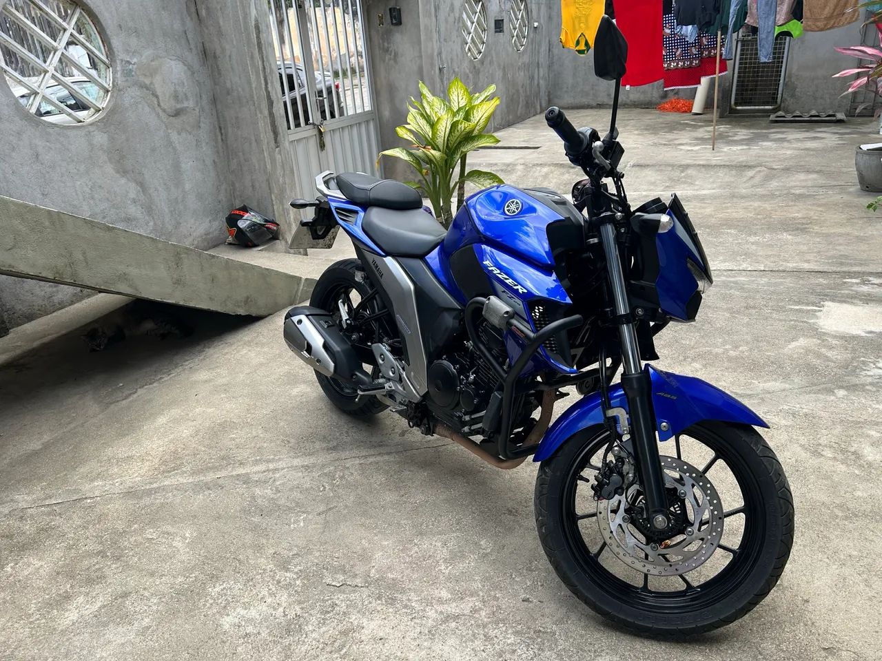 Fz250 2023 