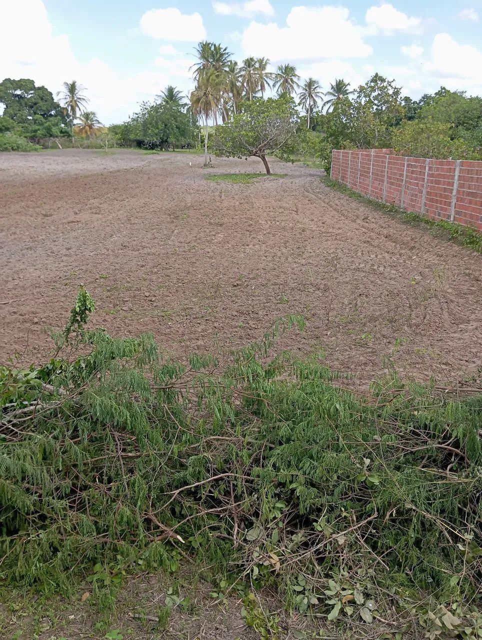 Foto - Macaíba - 