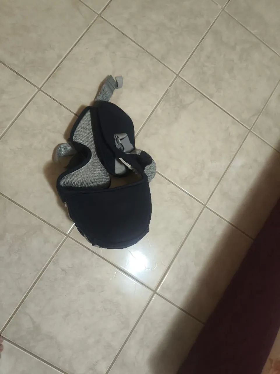 Canguru  - Foto 2