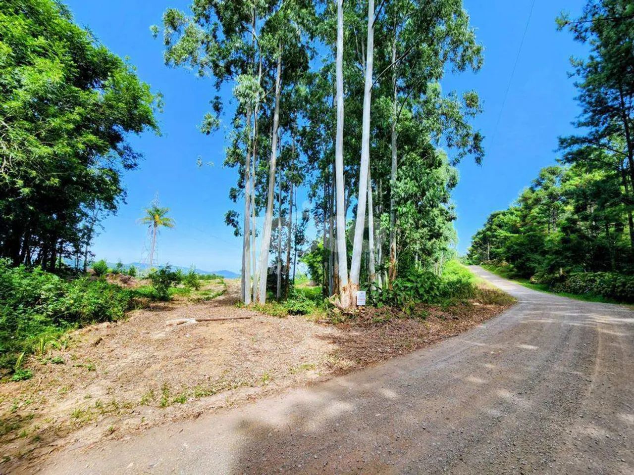 SÍTIO EM NOVA PETRÓPOLIS / RS - Foto 4