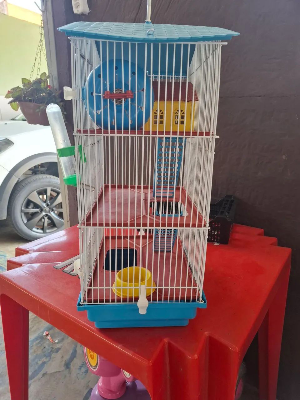 Gaiola hamster 435653800122142721
