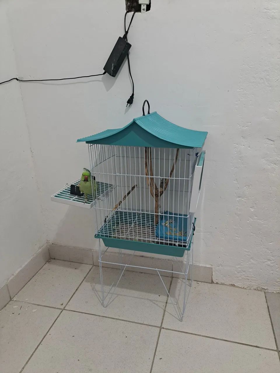 Cage nursery