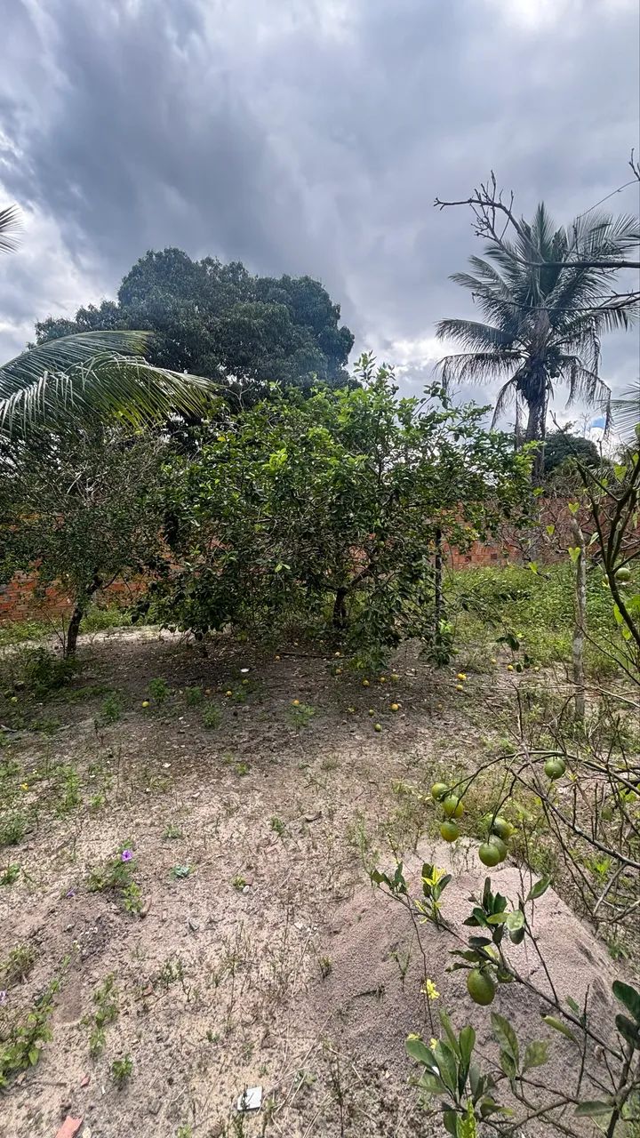 Terreno sítio Camaçari  - Foto 4
