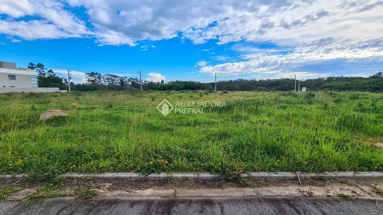 Terreno Real Parque a venda - Foto 5