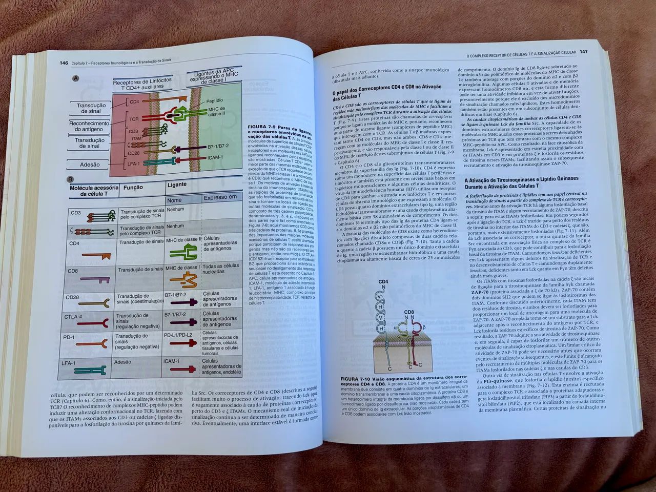 IMUNOLOGIA Celular e Molecular Tradução da 8ª edição - Foto 3