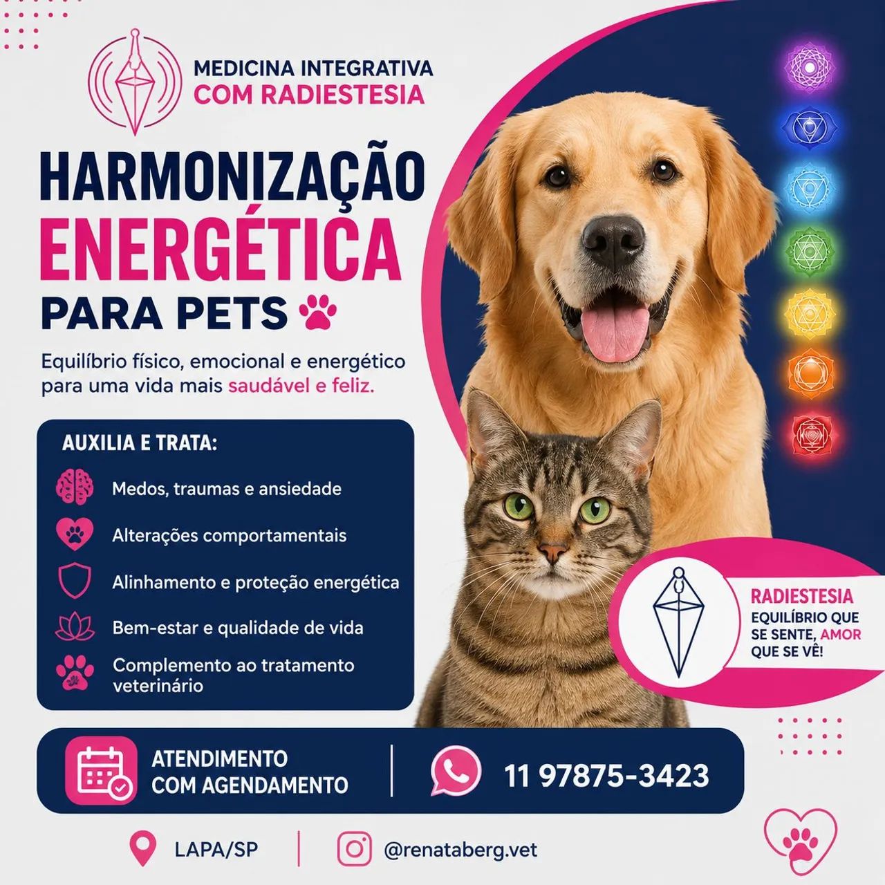 Veterinária, medicina integrativa  - Foto 3