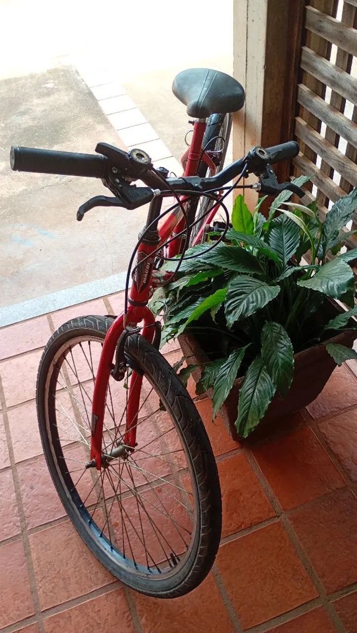 Bicicleta  - Foto 5