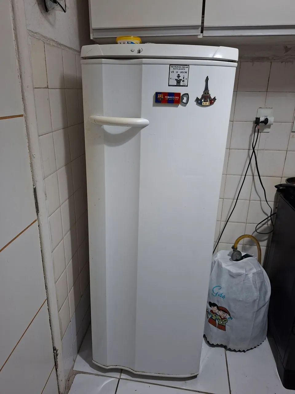 Geladeira Electrolux 65576121037699122
