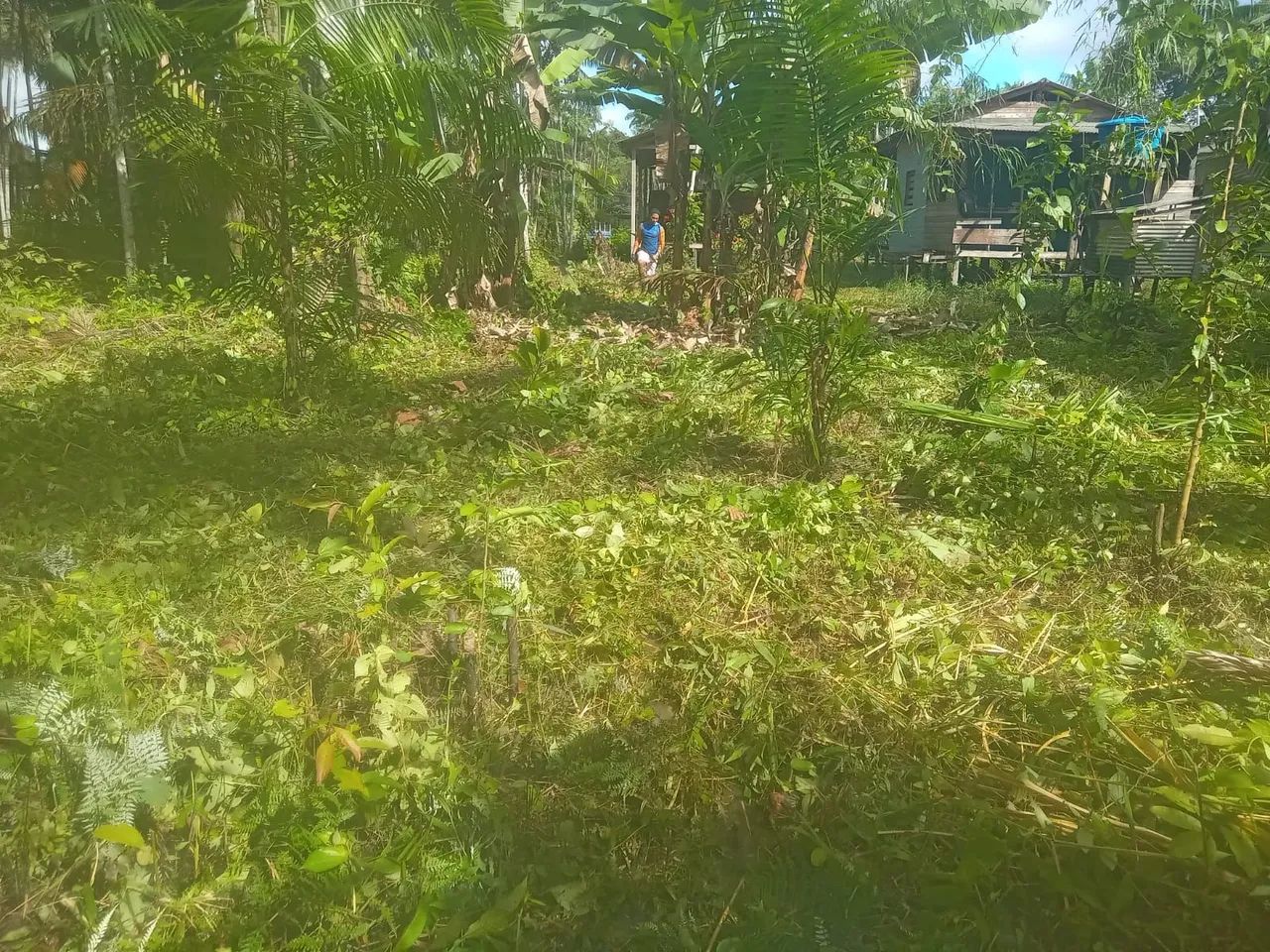 Terreno a venda  - Foto 2