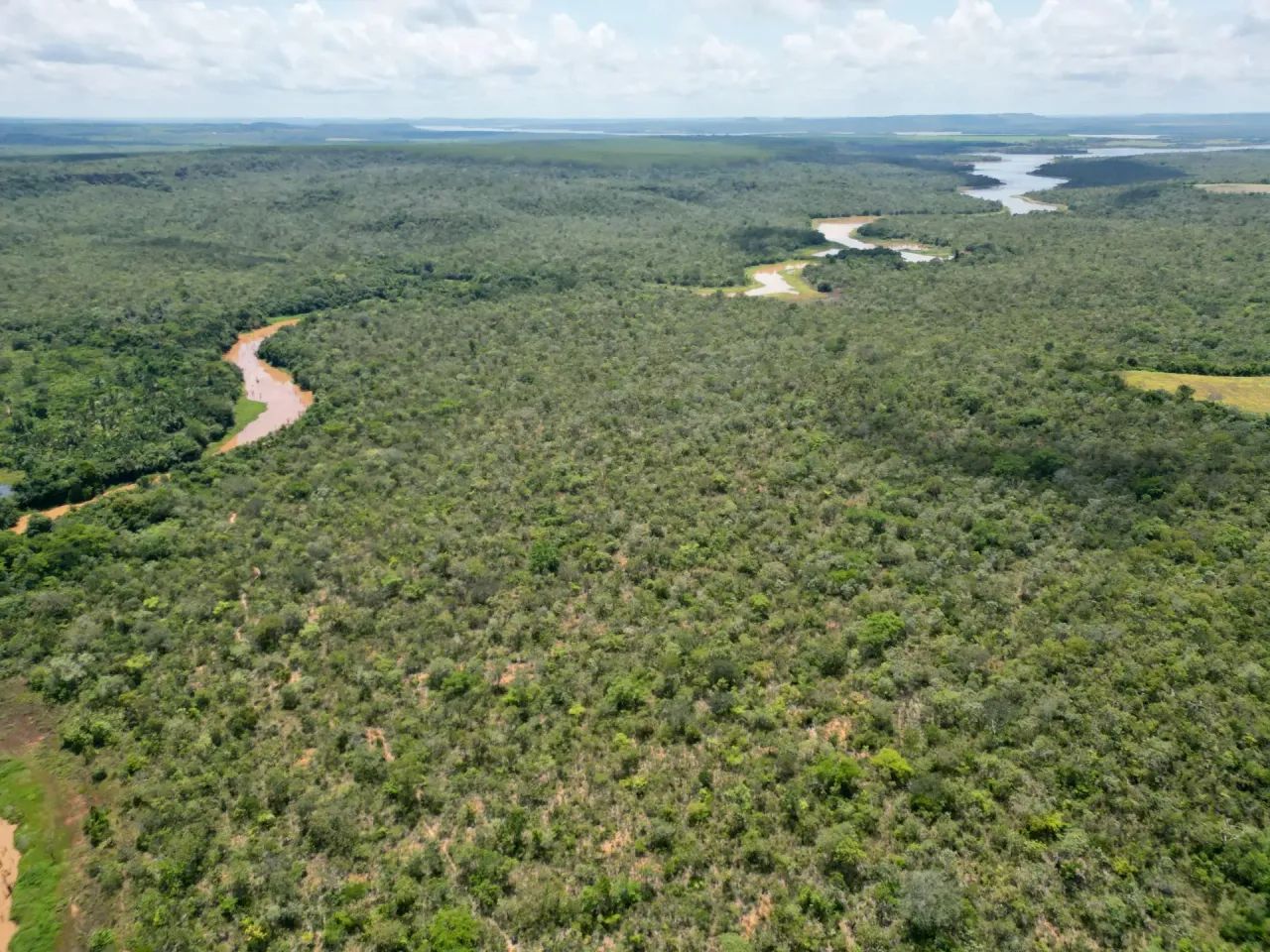 Excelente Área. Com:193 Hectares,  município de Darcinópolis - TO - Foto 3