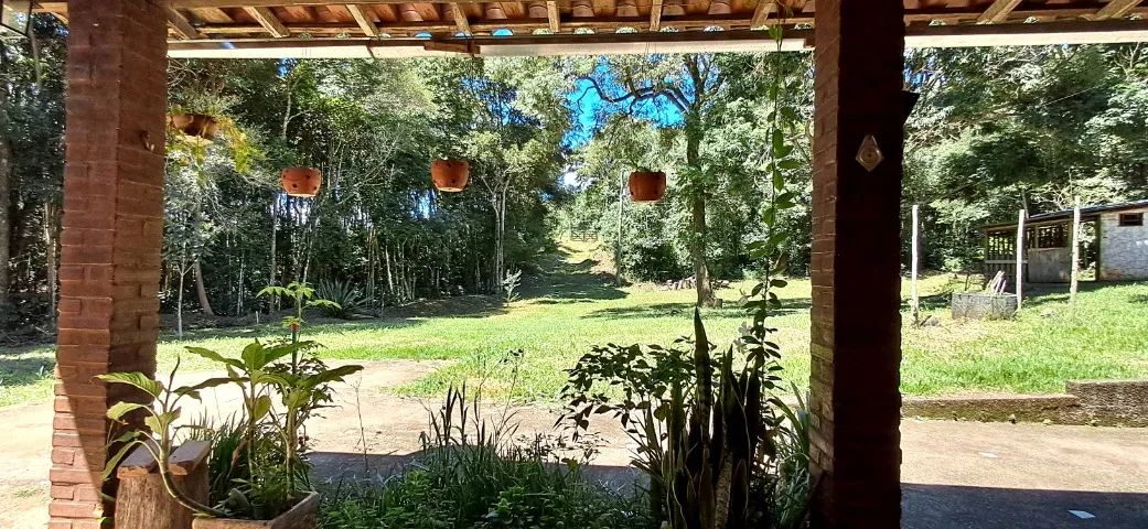 Sitio com 20300mts à 5 km 381 - Foto 3