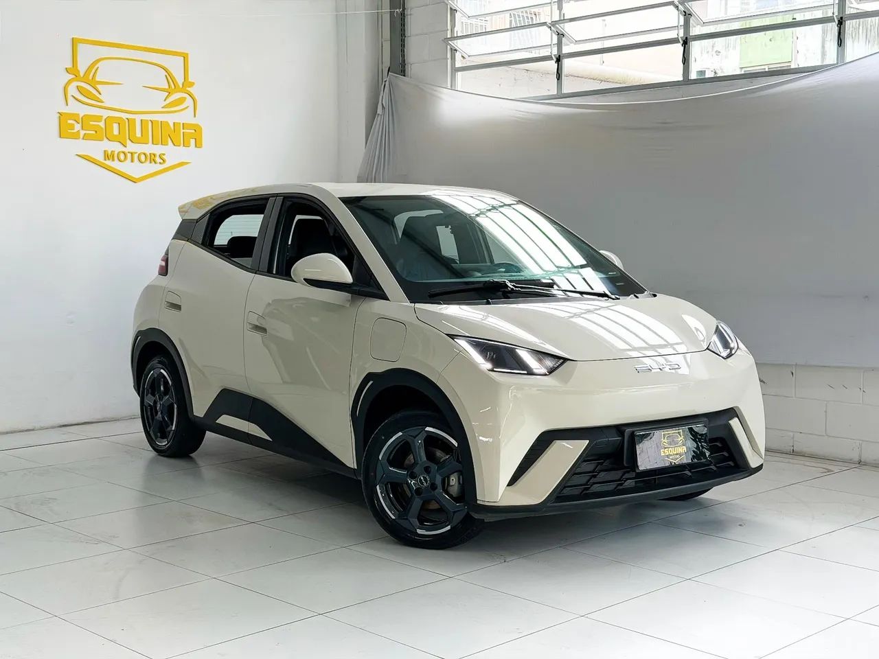 BYD Dolphin EV (Elétrico) 2024