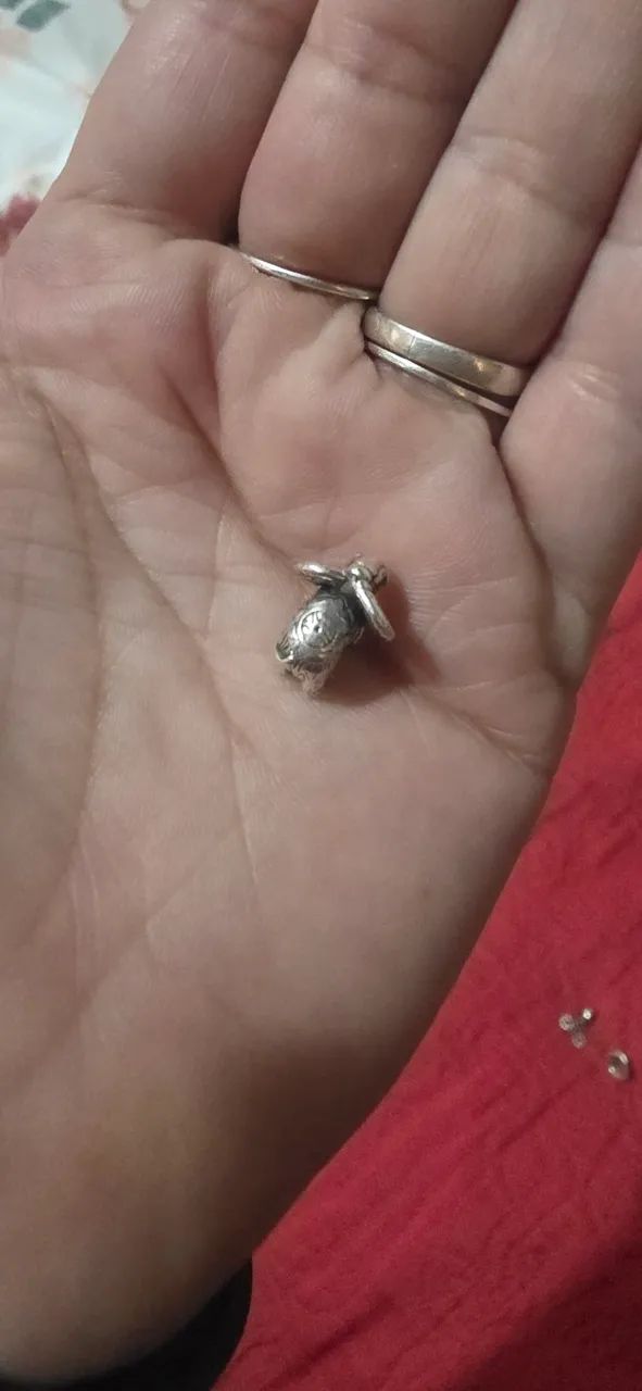Separador elefante vivara  - Foto 2