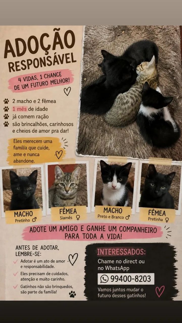 Adoção 