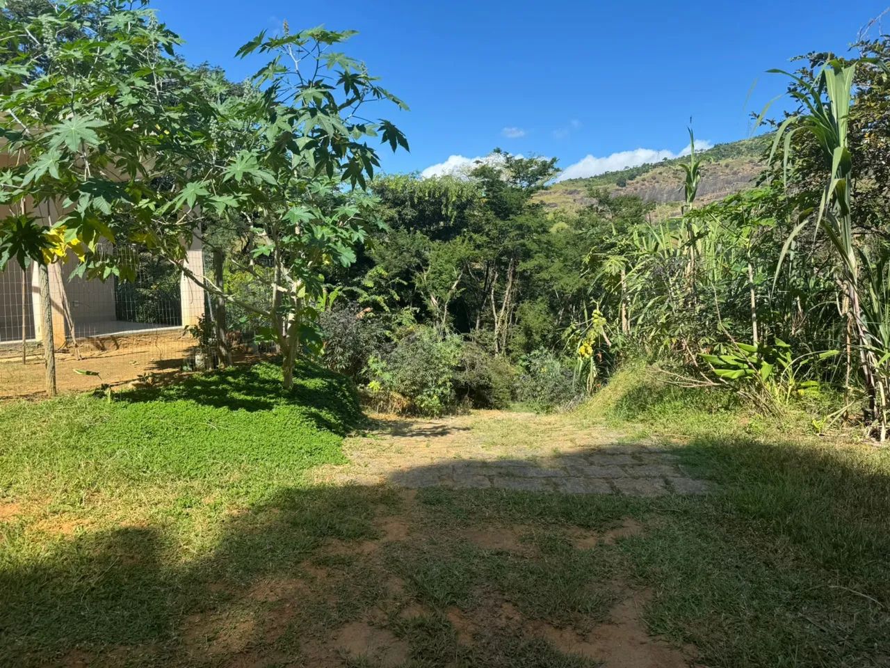 Vende-se Sítio em Ipatinga - MG - Foto 3