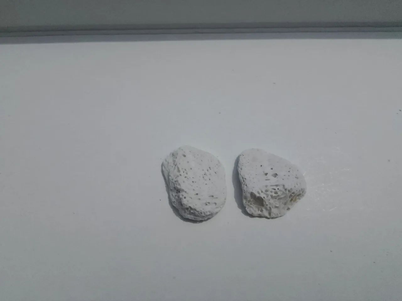 Lot de esqueletos de corais - Foto 2