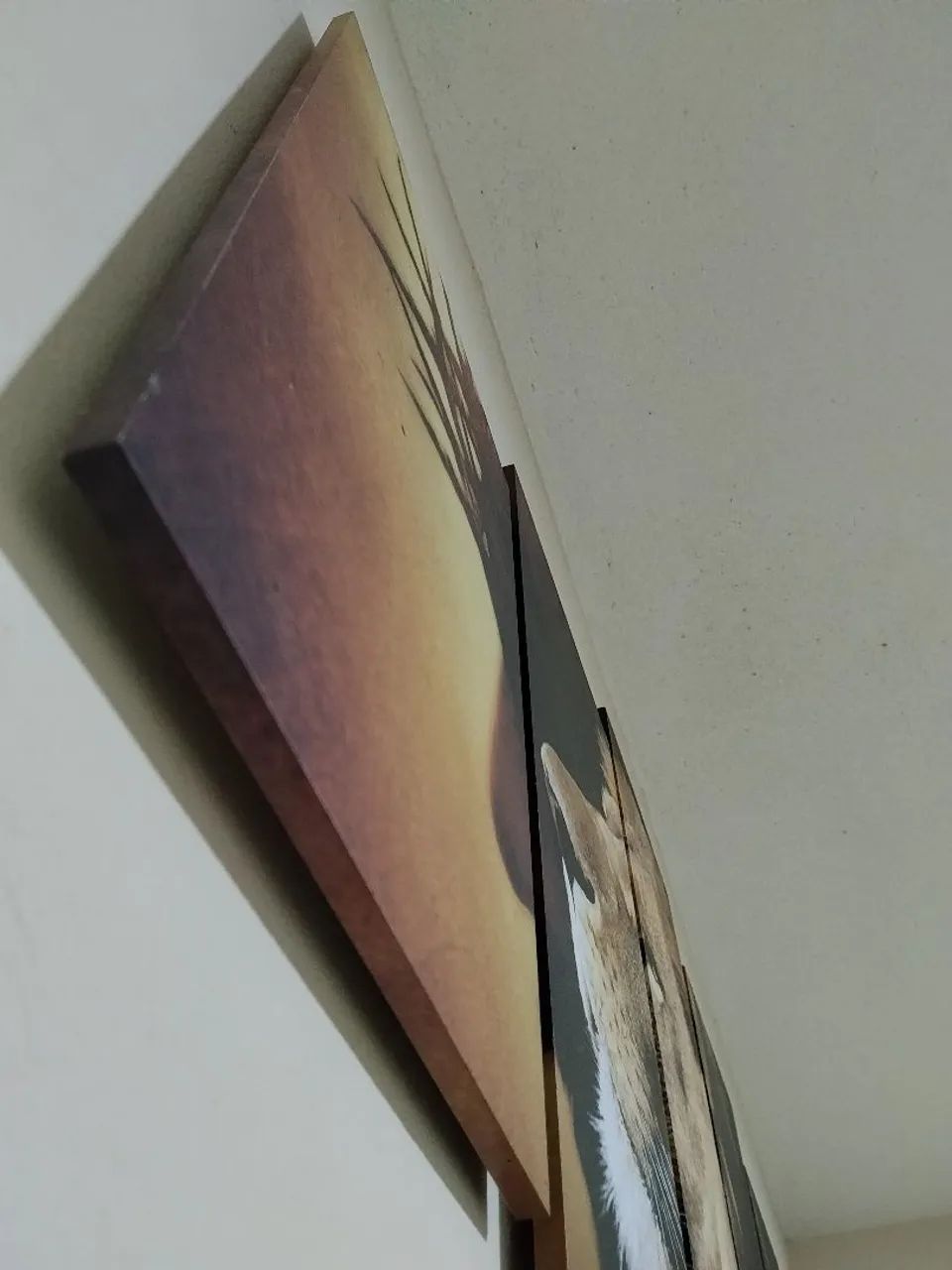 Quadro lindo do Jesus e Leão  - Foto 3