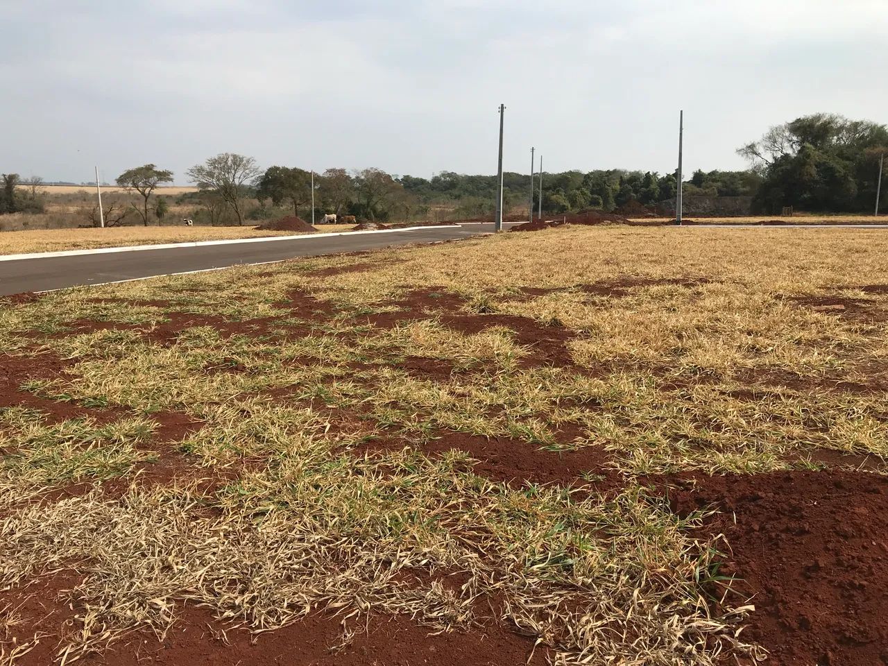 Terreno de esquina com 266 m2 quitado. - Foto 2