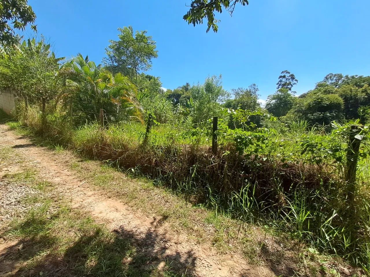Foto - São José dos Campos - Parque Novo Horizonte