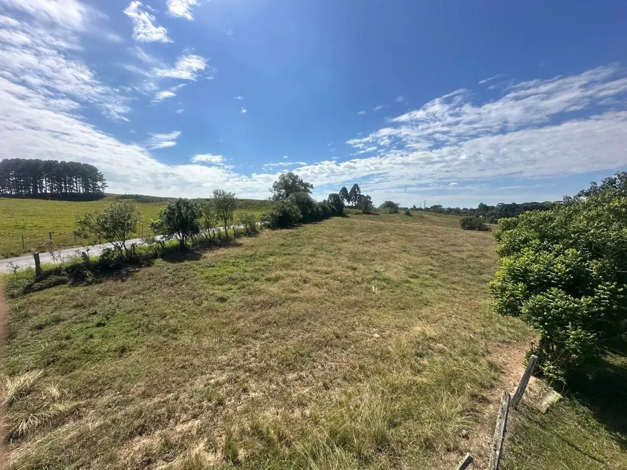 Chácara com fácil acesso, 32.000 m² e com bosque em Porto Amazonas - Cód. 05.014 - Foto 4