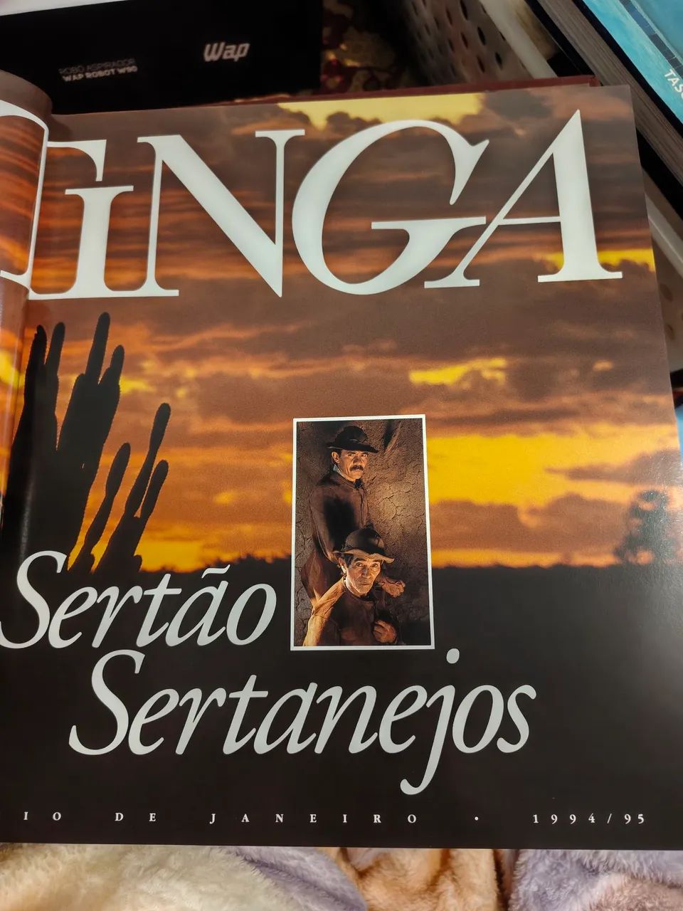 Livro Caatinga Sertão Sertanejo 1994 - Foto 5