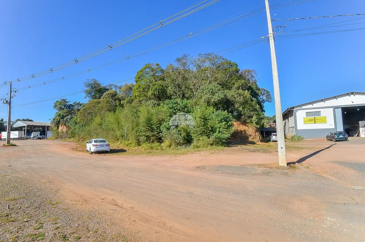 Vendas Terreno Mandirituba PR - Foto 2