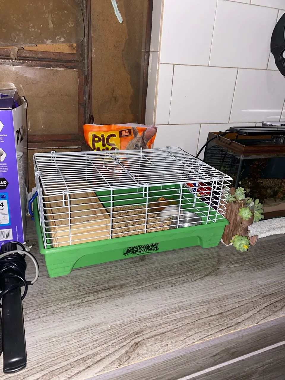 Animais  - Foto 5