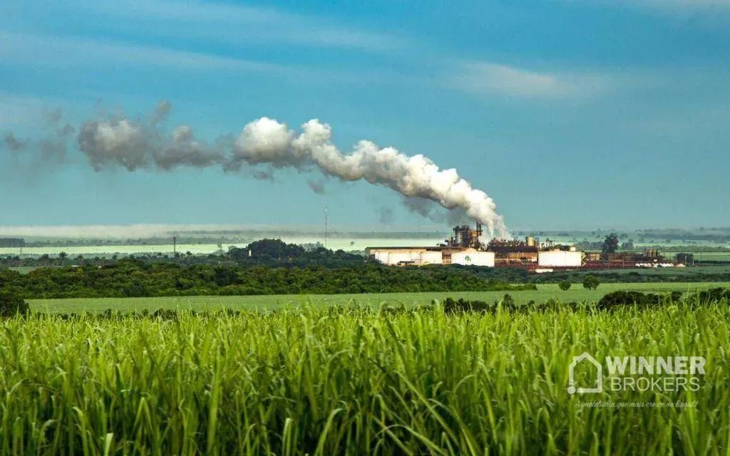 Usina sucroalcooleira no Brasil - Foto 3