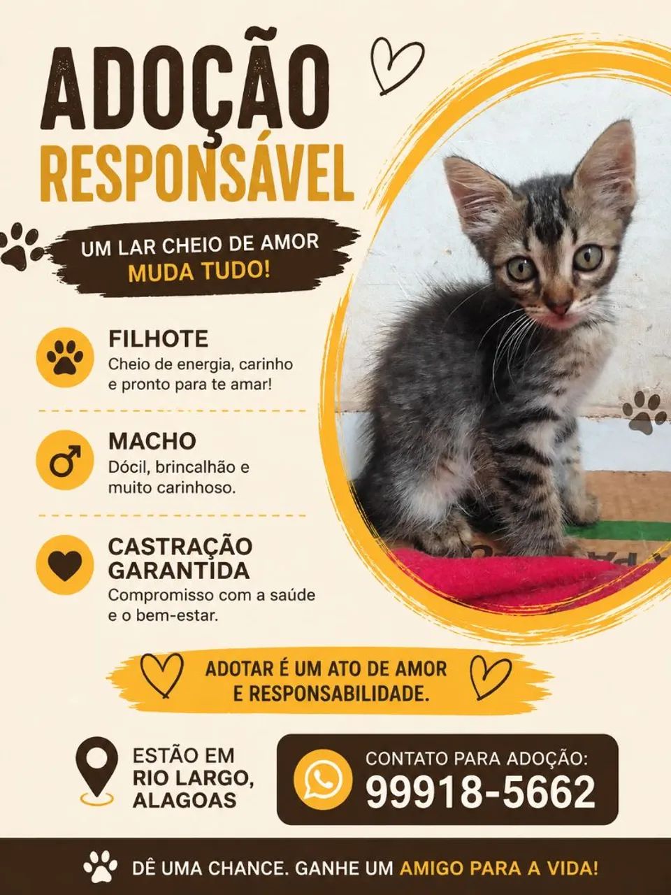 Adoção Responsável 