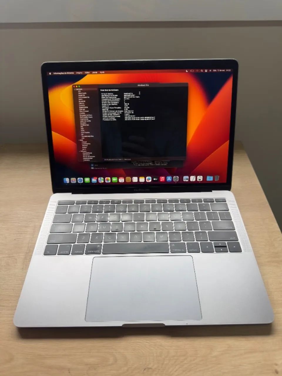 チ*ン様 MacBook Pro 13インチ 2017 i5 8GB 128GB MacBook Pro 13? Ano 2017 | i5 2.3GHz | 8GB RAM | SSD 128GB | 253