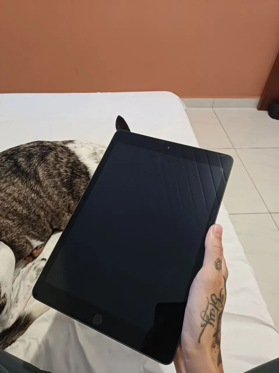 iPad 8° geração 