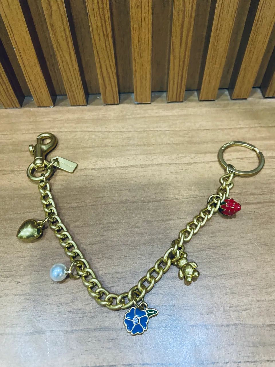 Charm bag corrente coach