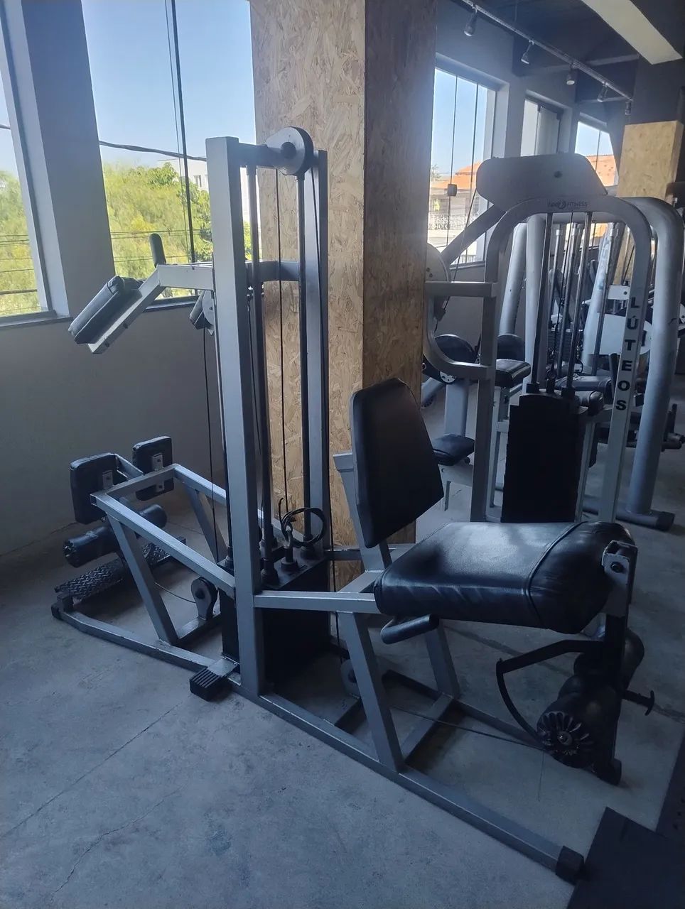 Extensora / flexora em pé ( pórtico)