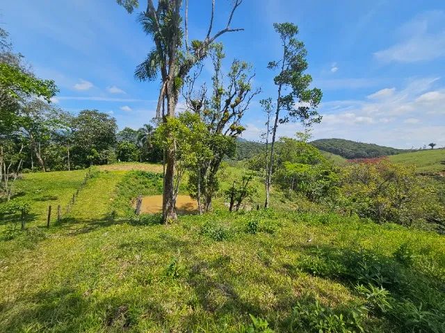 Terreno Rural com lago  em Santo Amaro - Foto 4