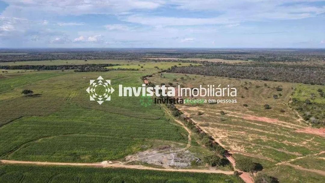 Fazenda de 447 alqueires com dupla aptidão em Palmeirante - Foto 3