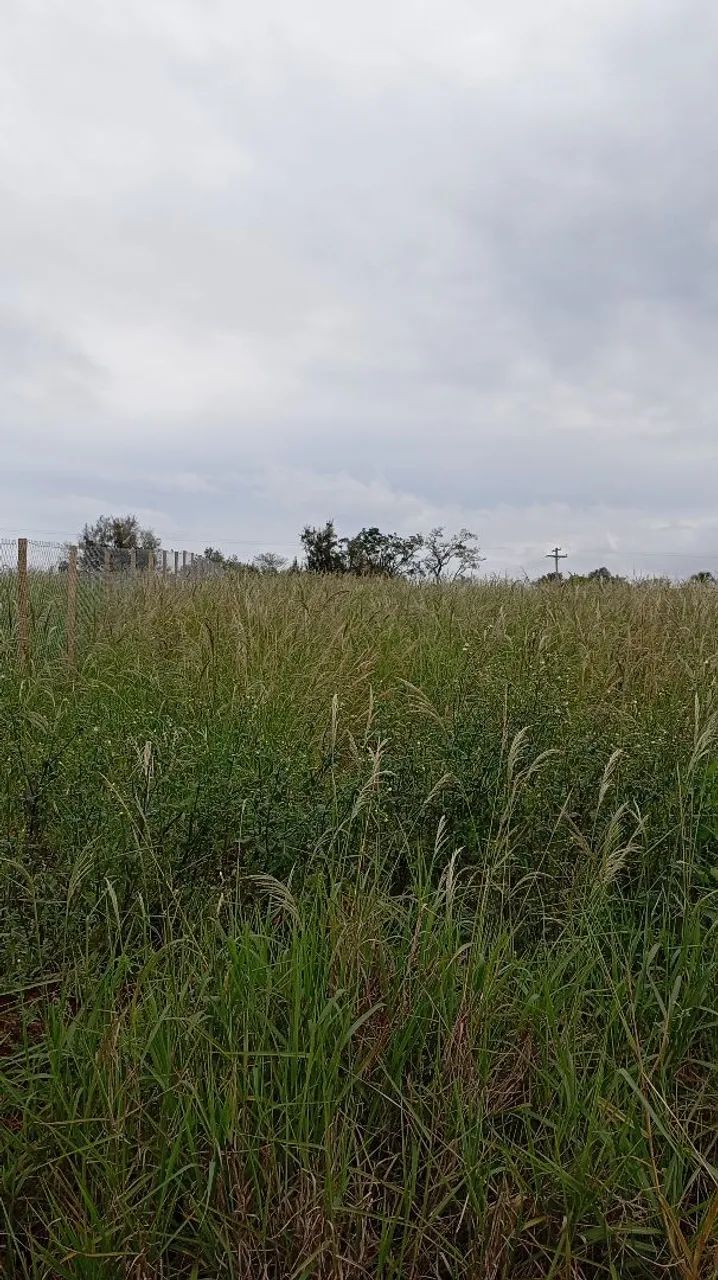 Terreno em Porangaba  - Foto 3