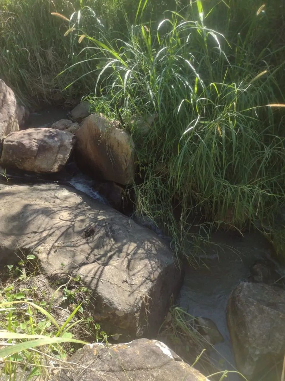 Sitio paraíso em Pombos - Foto 4